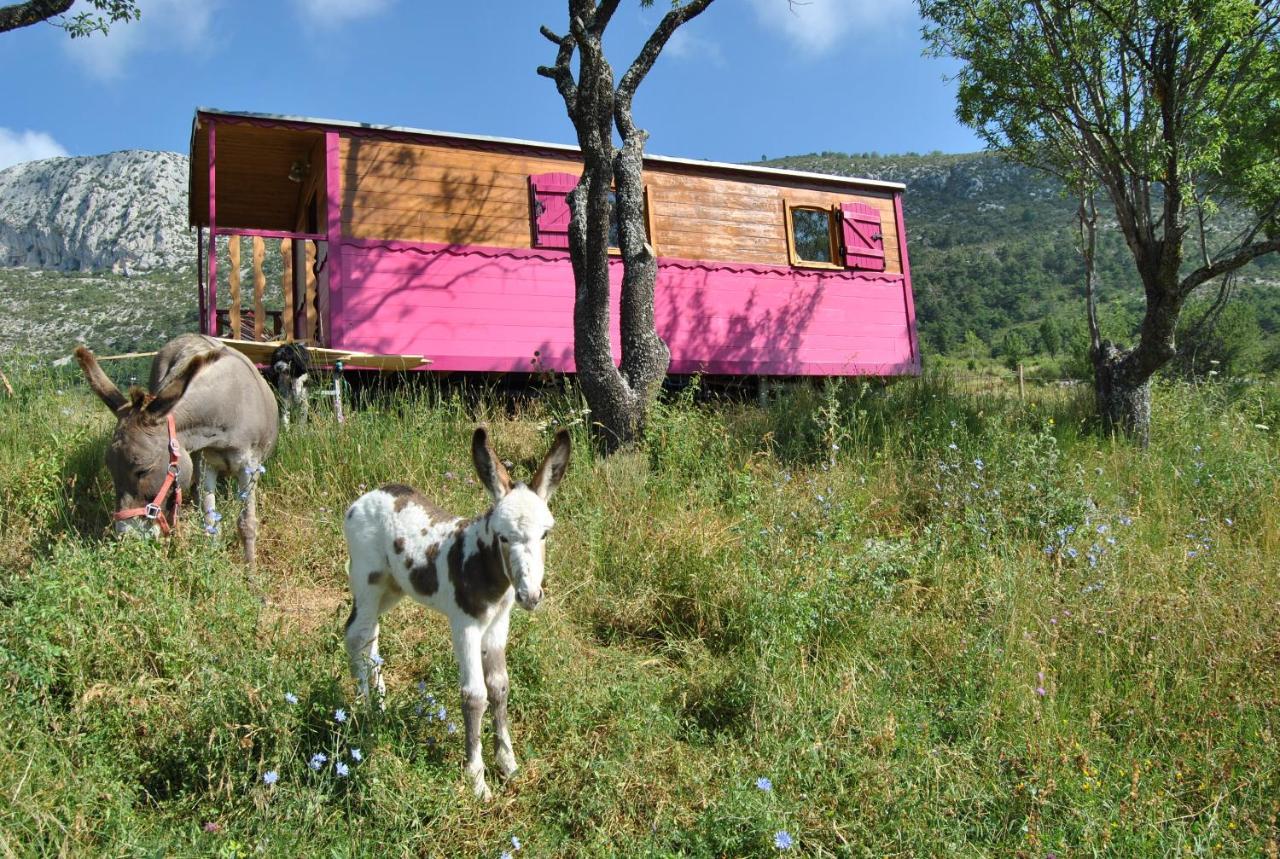 Ferme Saint Pierre Hotel Bargème Buitenkant foto